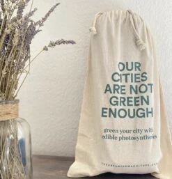 Kit Prêt à Planter - 3 Feuilles -Feuilora Soldes Boutique ea572adcd263b51f