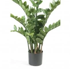 Emerald Zamioculcas Artificiel Vert 110 Cm 11.662c -Feuilora Soldes Boutique fb433d9acae0b9bb